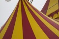 cirque avril 2016 05